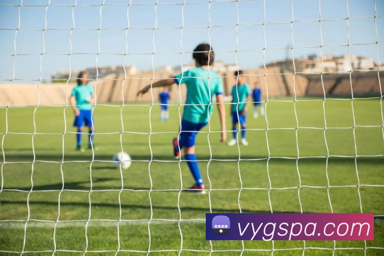 pa视讯APP 封面图